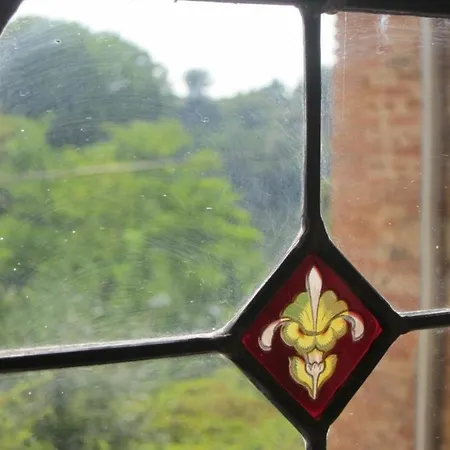 La Lauze Et L'anguille