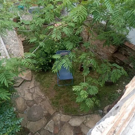 La Lauze Et L'anguille B&B 가이약