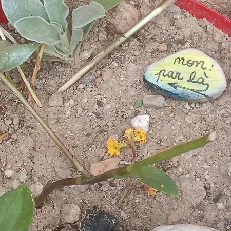 B&B La Lauze Et L'anguille