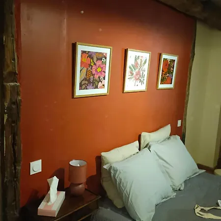 La Lauze Et L'anguille B&B 가이약