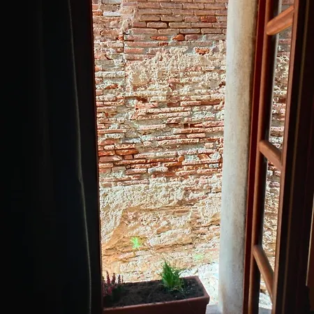 La Lauze Et L'anguille