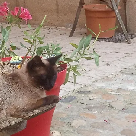 La Lauze Et L'anguille Oda ve Kahvaltı 3*