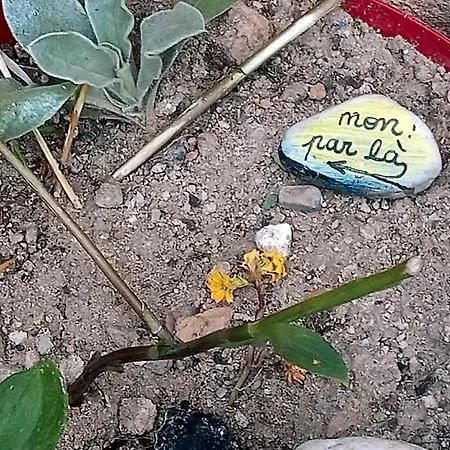 La Lauze Et L'anguille
